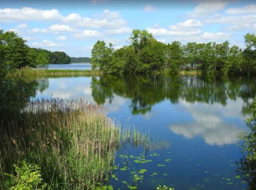 390664993 Озеро Шальзе сокровище Шлезвиг-Гольштейна