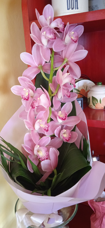 IMG_20240319_105604[1]