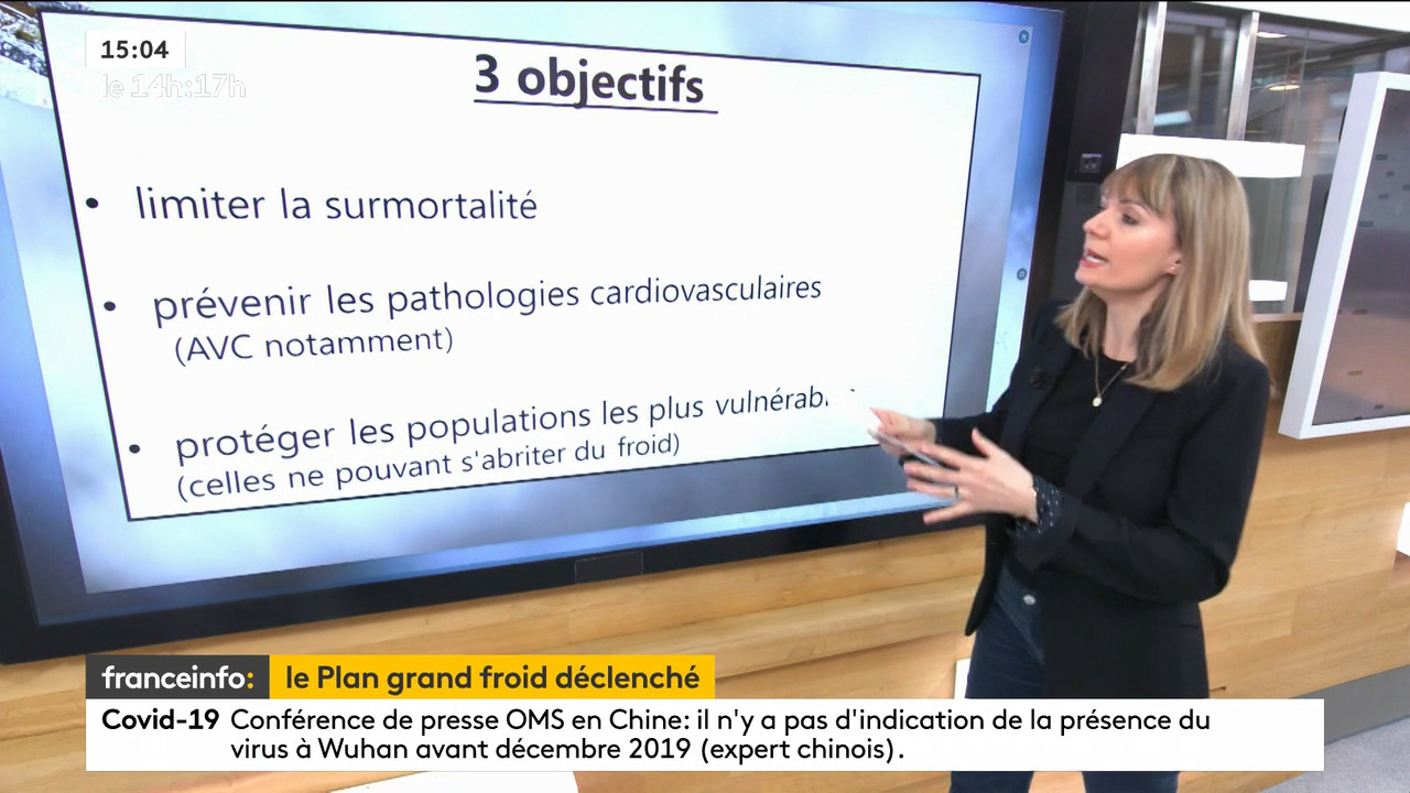 02.09 - 12.59.00 - Le 14h-17h. Au sommaire   Vrai ou fake. - francein..._001.ts_snapshot_00.22.570