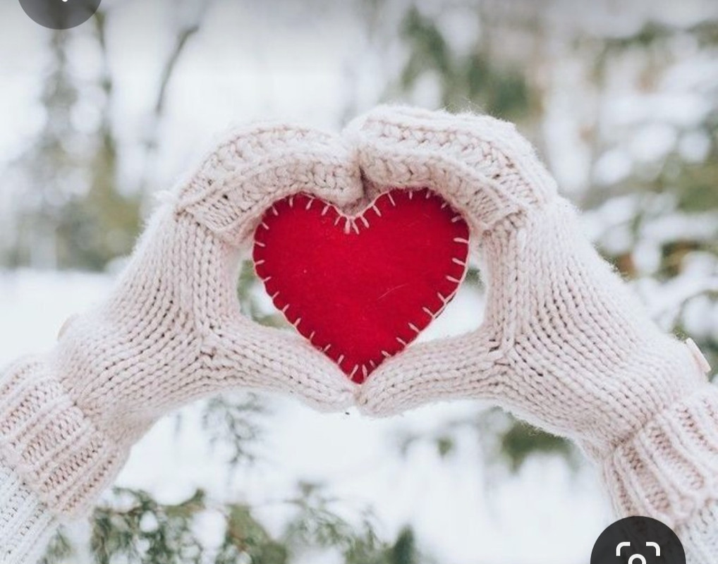 Screenshot_20240209_231846_Pinterest