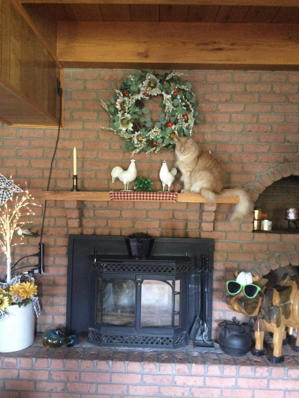 71F117EB-EC06-486C-911C-FDF9F3A64B92