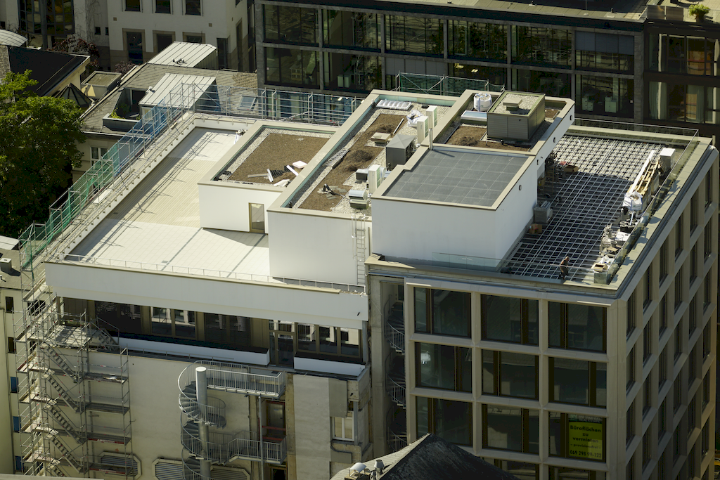DSC1327-1024-683.png