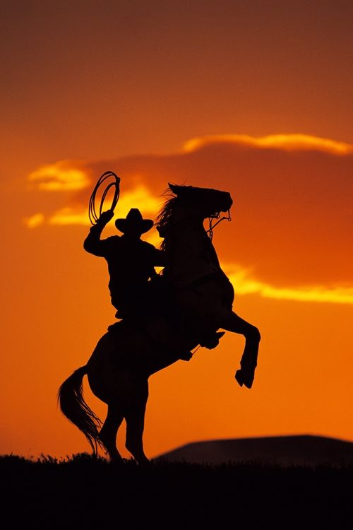 goldenrodeo.jpg