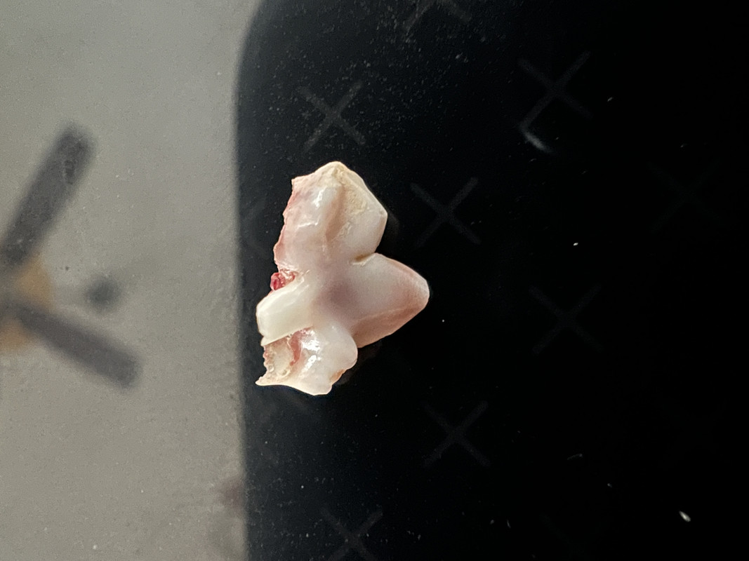 569FC14C-5AB8-4A01-941A-E8AAA2FA0254