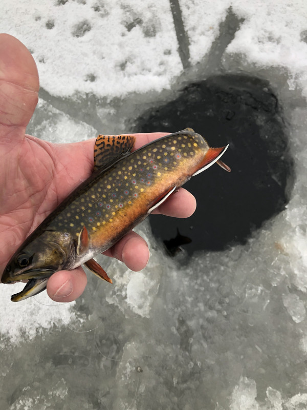 C8A575AC-6575-40BF-8C03-7B88B3C4C393