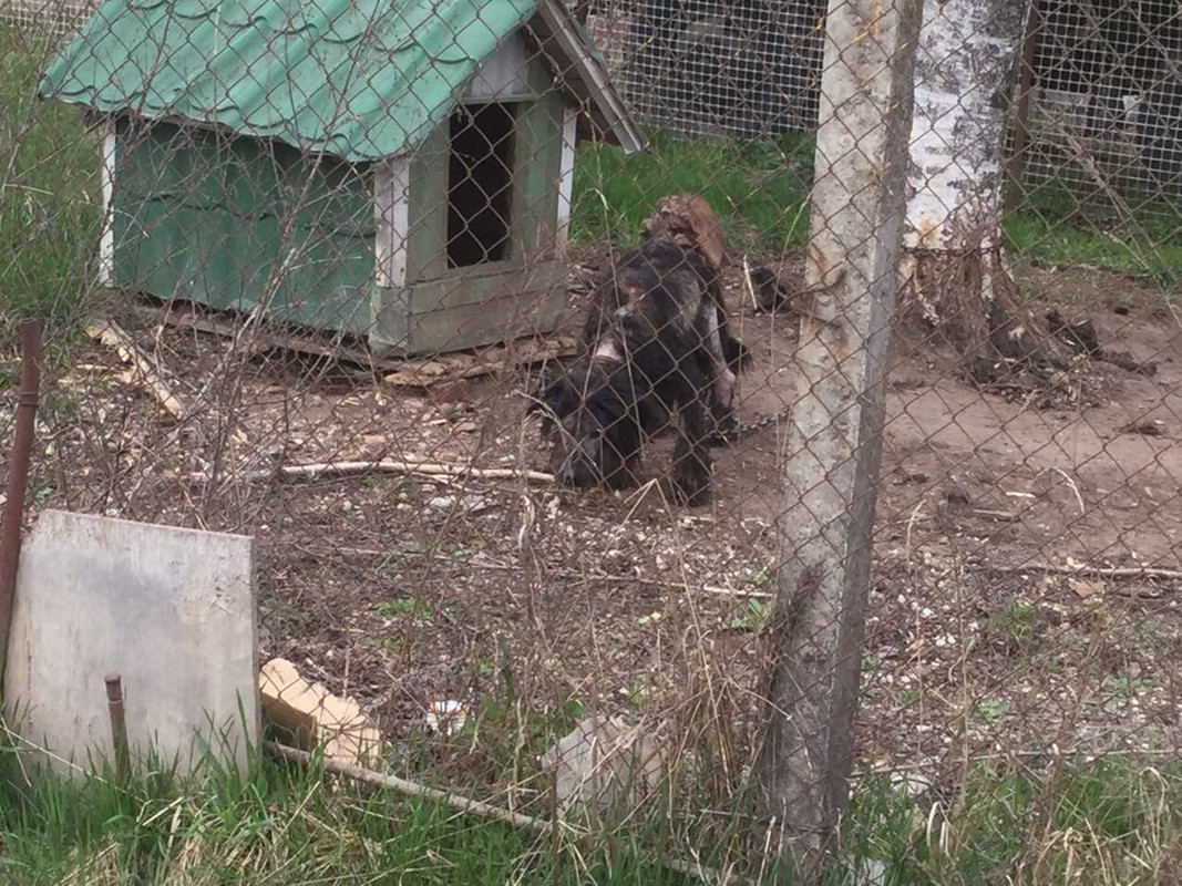 93CC7DC9-AE59-45FE-832E-7FBFBADC216A