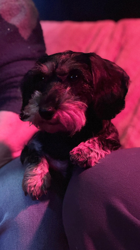 [Image: a24d14e4-42ab-4973-bffb-6e923a170a1a.jpg]