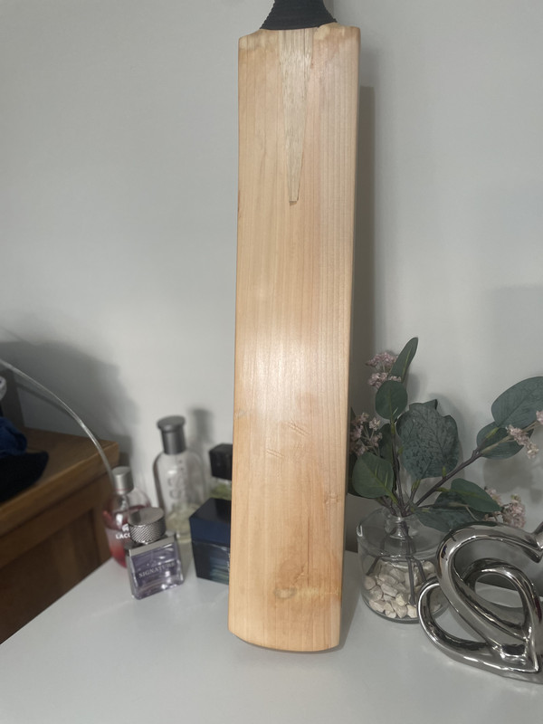 1C5B020A-59BA-4AFE-A8B6-B7ADBC44F971