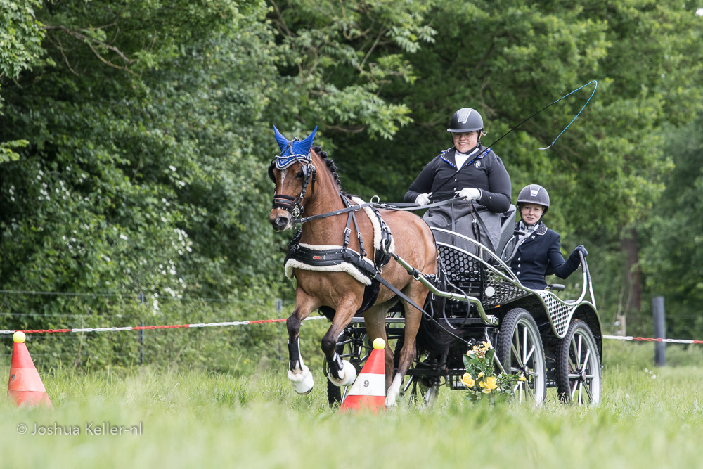 MG-9628vaardigheid-dressuur-nienoord-2022