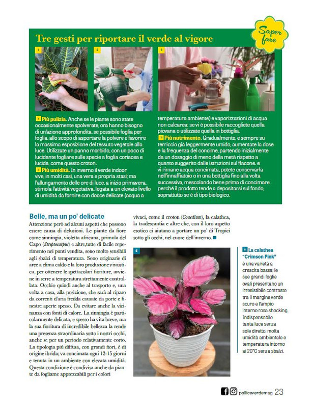 Pol Ver Feb 2026 (6)