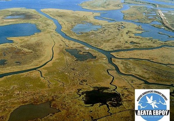 770A3E5B-9648-4A56-9DC5-E36A700F7AED