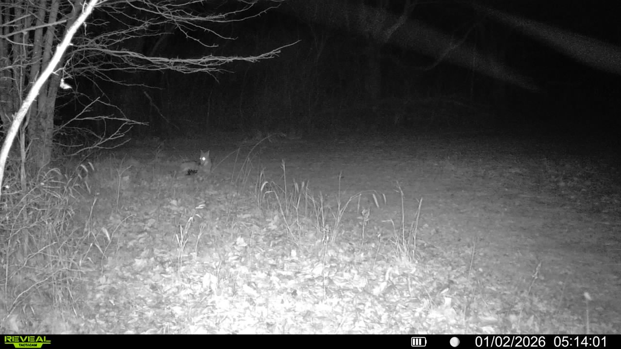 2026 Dead Critter Thread …. - 24hourcampfire