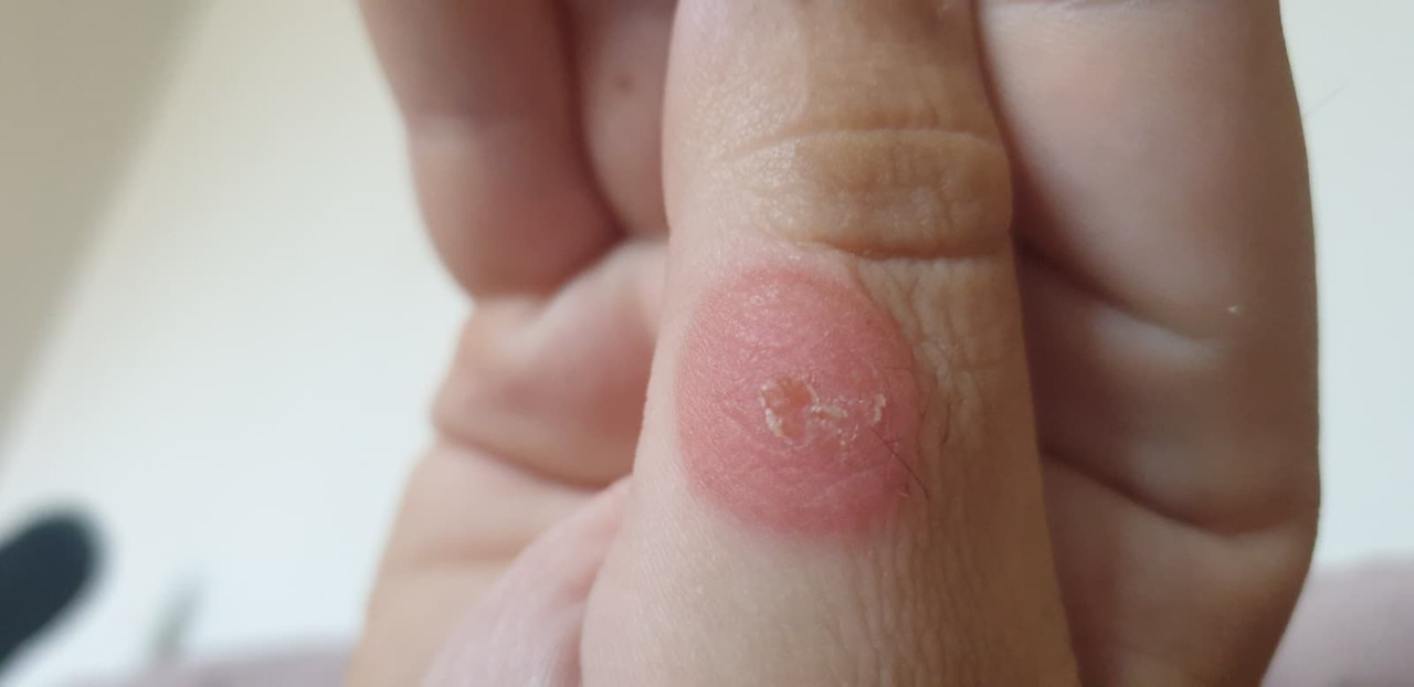 Whats App Image 2025 12 04 at 18 50 05 24ca0238