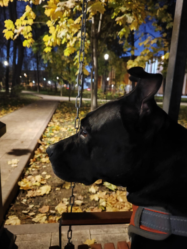 181E81AF-DA41-46C5-BCEE-FFB5EDCB56CF