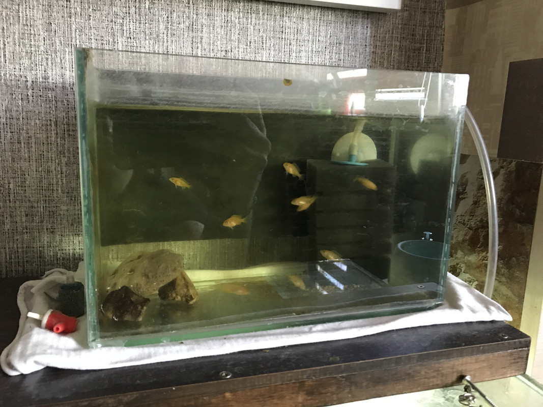 3E5925BE-54DA-490B-9119-81ADA6483FBB