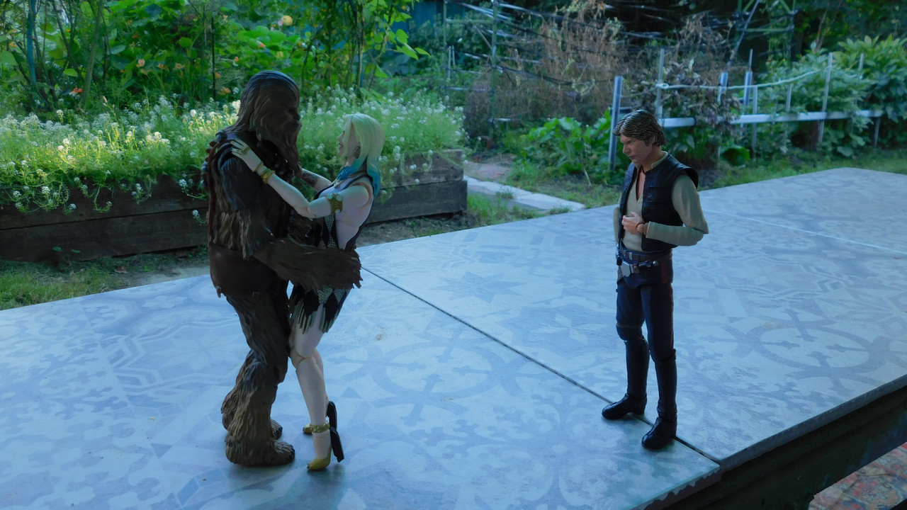 Дачно-барбейское июль, Харлинское 2-я серия 212