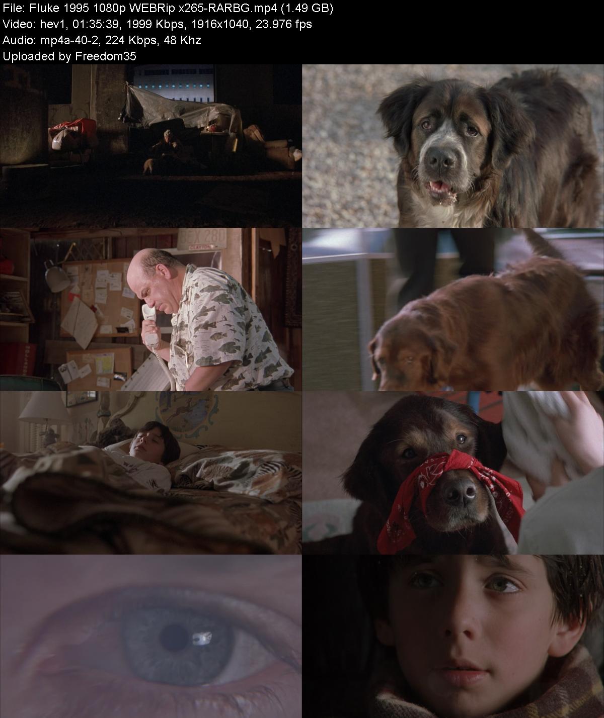 Fluke-1995-1080p-WEBRip-x265-RARBG.jpg