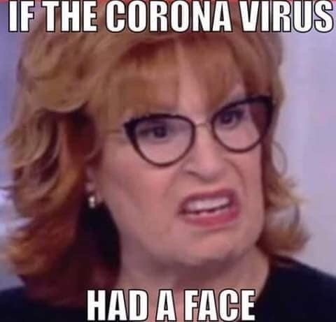 If_the_corona_virus_had_a_face