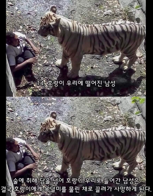 캡처_2023_02_21_15_05_42_322