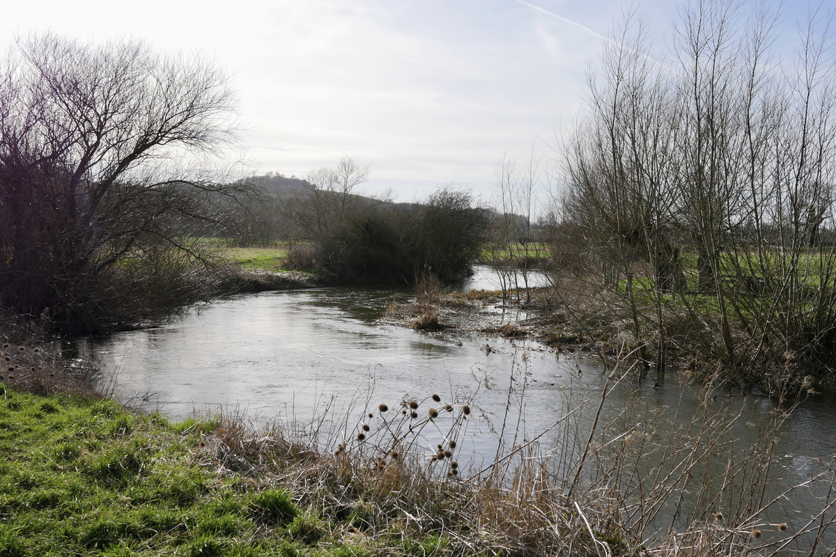 98D52C95-3341-45AE-AB66-177851681E2F