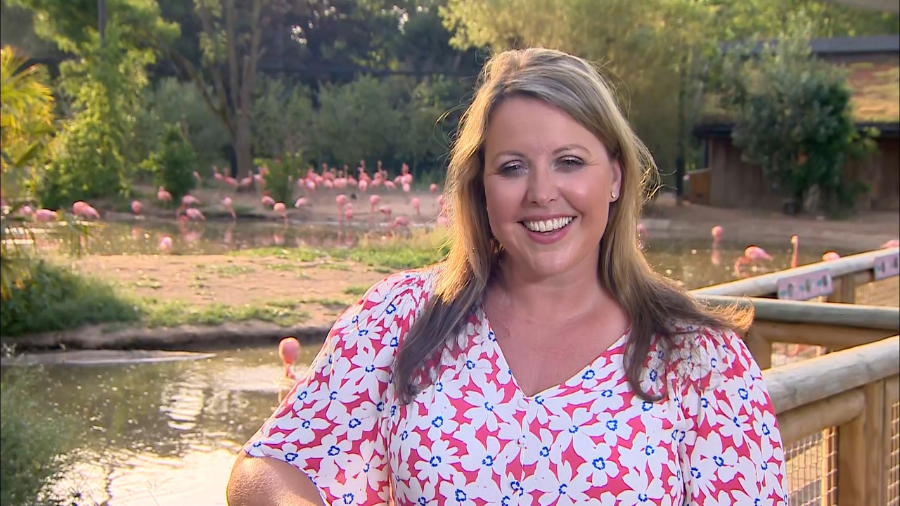 ITV Evening News_20220718_18301930.ts_snapshot_44.01.506