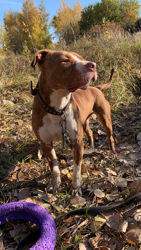 3146BE1B-9929-450B-B571-CC7CC623FEEF