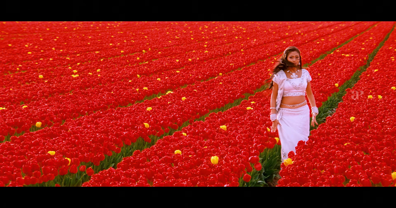 VideoCapture_20241122-195151