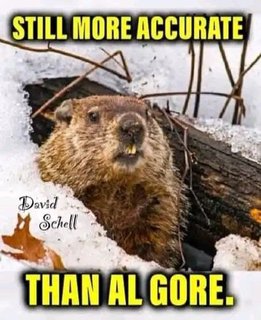 photo_2024-02-04_15-34-47