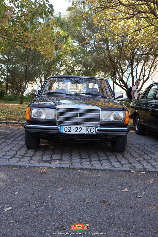 IMG 7443