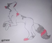 134658689_211985270641294_8979