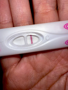 0A6B6828-06C0-4B2D-99E8-C6012DE43F88