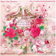 Pink-N-Roses-New-Life-039-s-Dreams