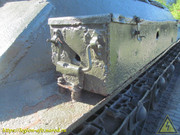 IMG-5524