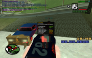 sa-mp-0000025