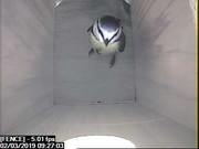 FENCE 2019-03-02 09-27-03.005