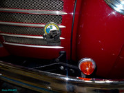 DSC02041.jpg