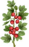 Christmas-Dreams-109