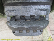 IMG-9005