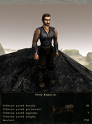 pancerze i ubrania (32)