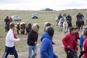 IMG-0088