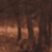 미투디스크