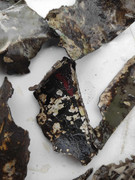 476588949_1388535872169638_2720052327189143094_n