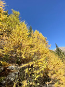 5149A2B8-FC8B-46C9-9566-9BAD49724E37