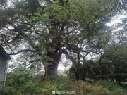 69af9baegy1i62sq0m2rsj21400u0qds