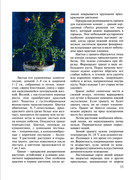 Plodovy-sad-v-komnate-2002-12