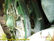 DSCN0175