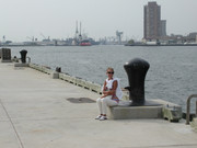 Barbs at Nautica Pier