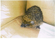 received-1845839522376139