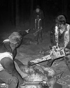 singlebungle1472-20221202-221248-015