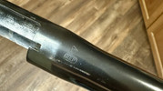 IMG-6913